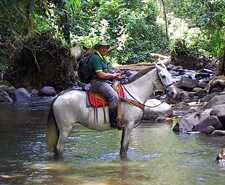 Costa Rica-Arenal-Arenal Volcano & Waterfall Horse Journeys